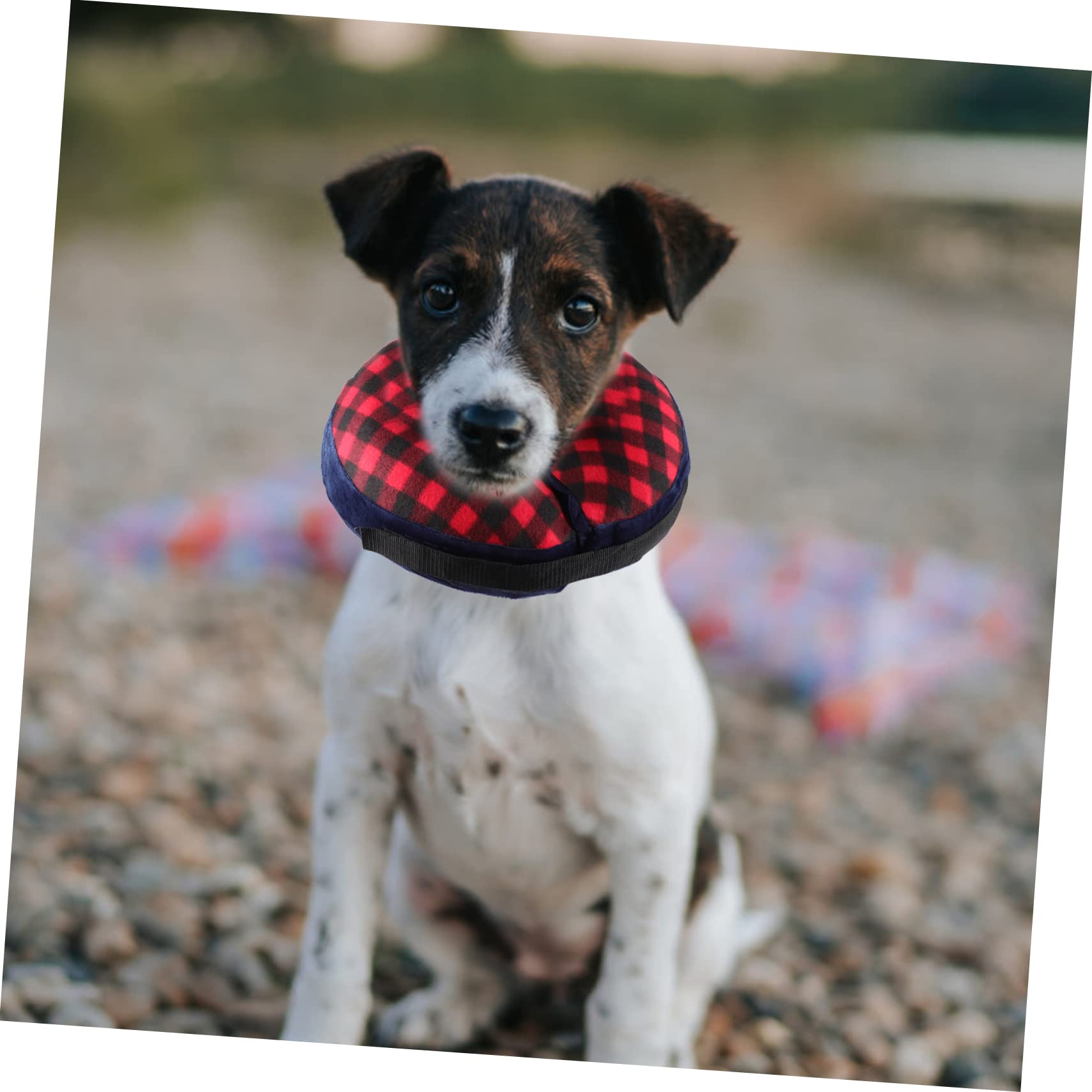 FRCOLOR 5piezas Collar De Inflable para Mascotas Collar Protector y Lavable Alternativa Cómoda para Perros y Gatos Después De Uso Baños y Acicalamiento