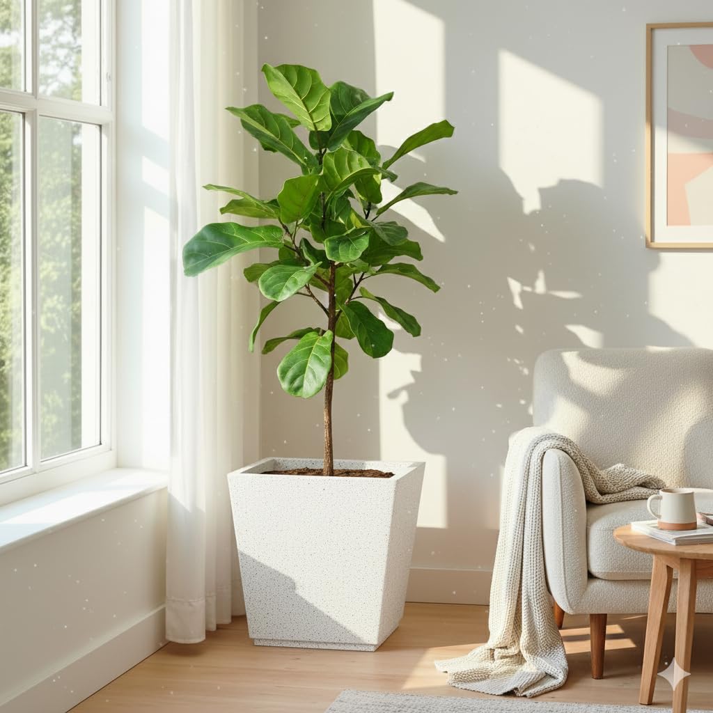 Italian Style Planter Pots - Durable & Lightweight -21 Italian Style Planter Pots - Durable & Lightweight -21