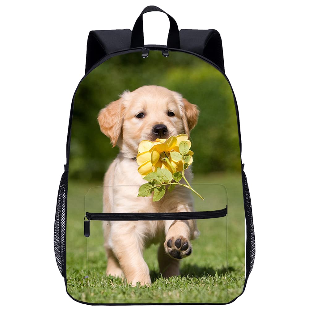 Mochila escolar juvenil espaciosa de 45cm que soluciona la carga de libros 8