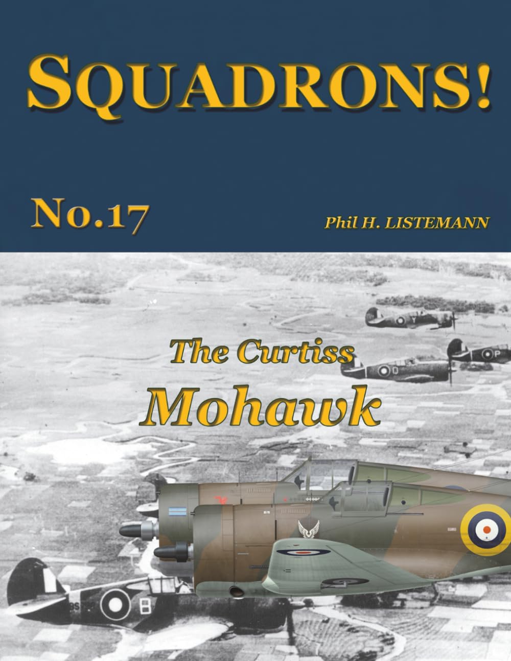 The Curtiss Mohawk: 17 (SQUADRONS!)