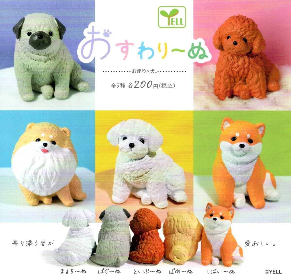 Amazon.co.jp: !～おすわり～ぬ お座り×犬 全5種 マルチーズ/パグ/トイ