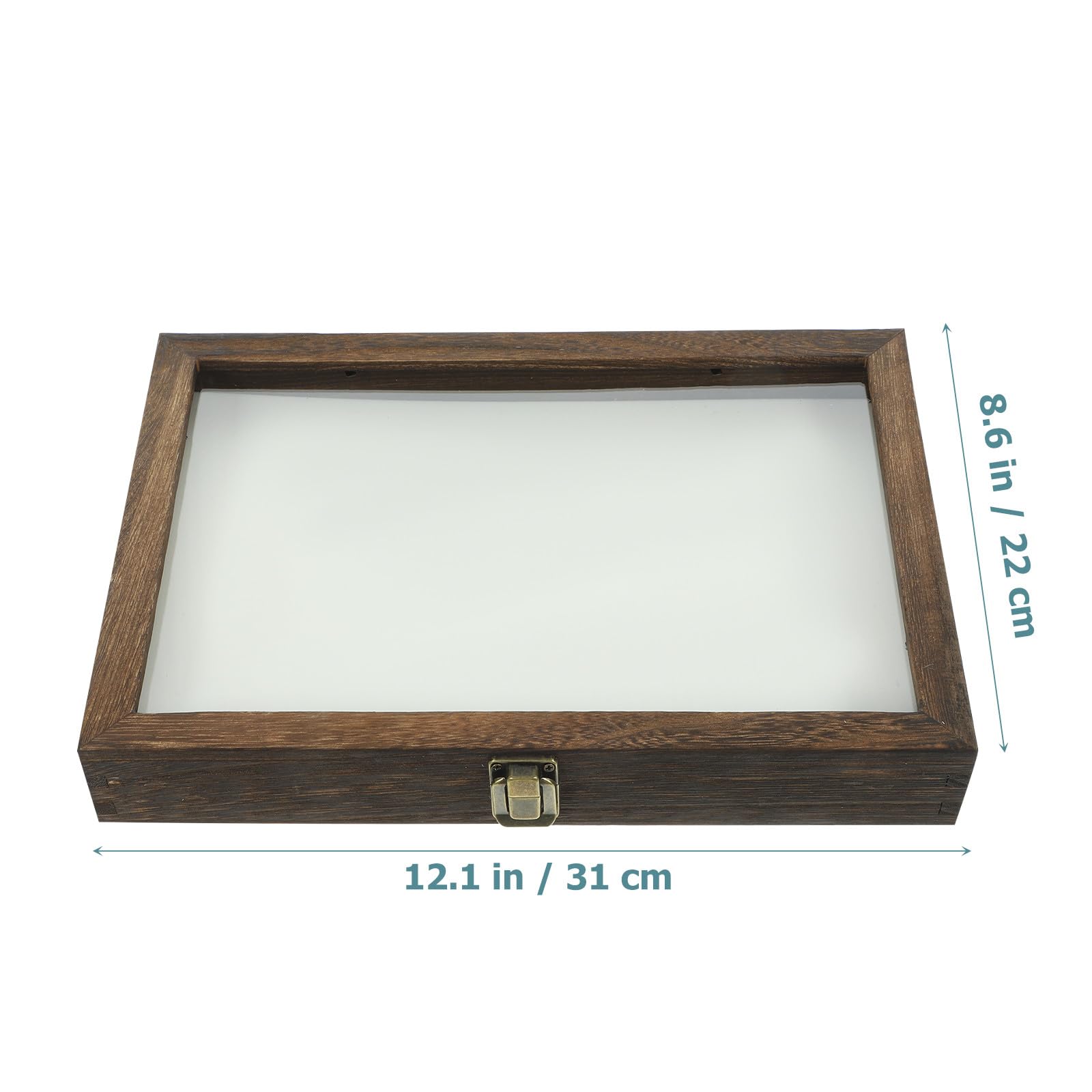 Générique Boîte à Spécimens de Plantes en Bois de Pin 31X22X4 CM avec Tapis Blanc pour Épinglage Vitrine D’Entomologie Compacte et Légère Présentoir Insectes et Lépidoptères pour