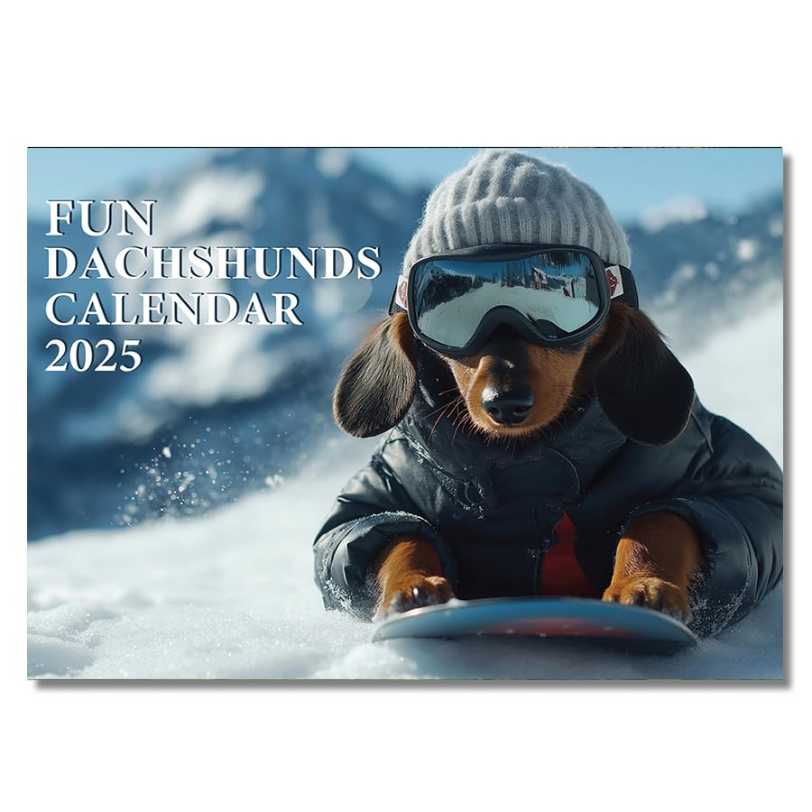 Fun Dachshund Calendar 2026 UK 12 Month to View A4 Wall Calendar 2026 UK Funny Dog Calendar 2026 A3 When Open Papa Prints