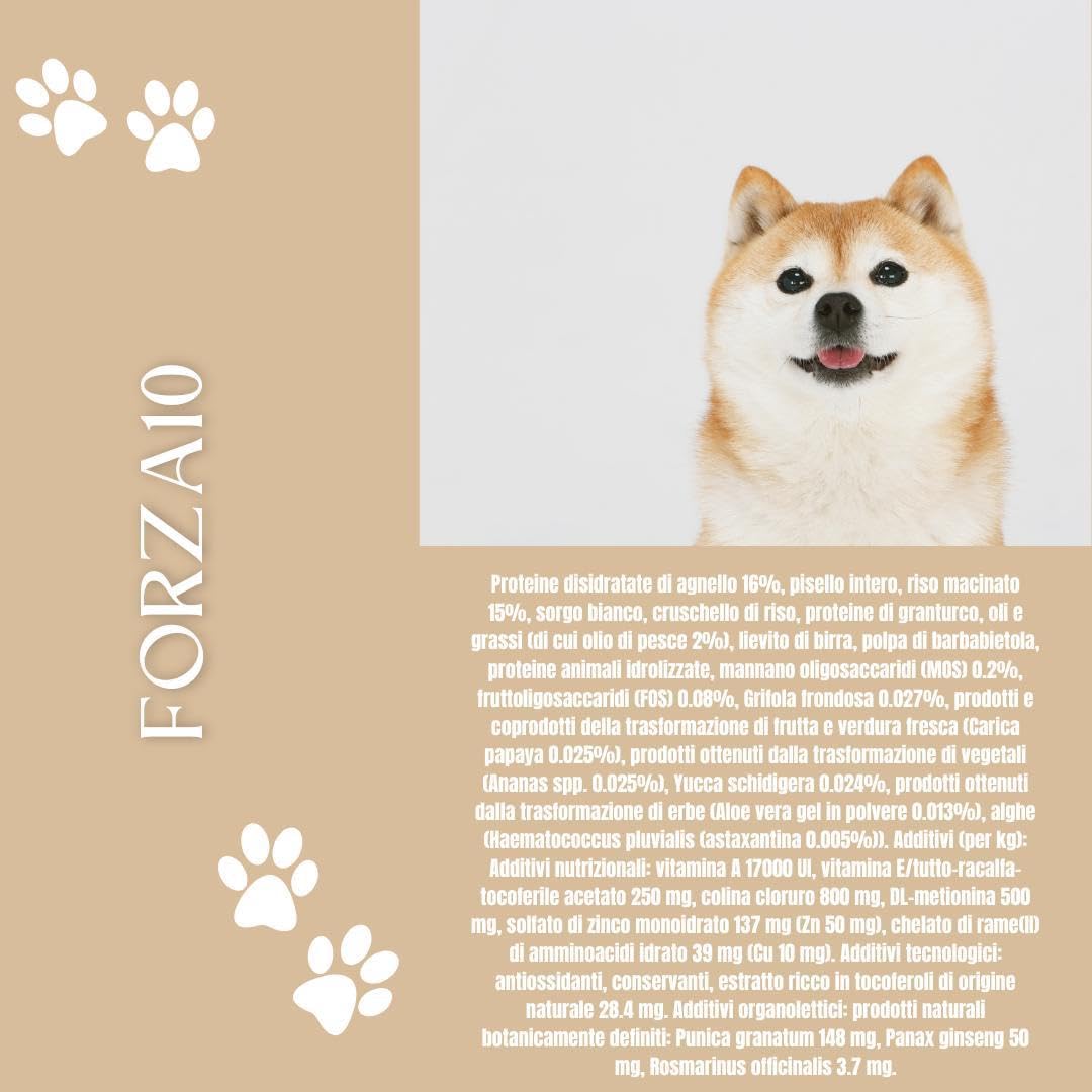Forza 10 Perro pequeño/Mini Adult Mono sabor cordero alimento completo monoproteico para perros adultos de talla pequeña, hipoalergénico, paquete de 1,5 kg.