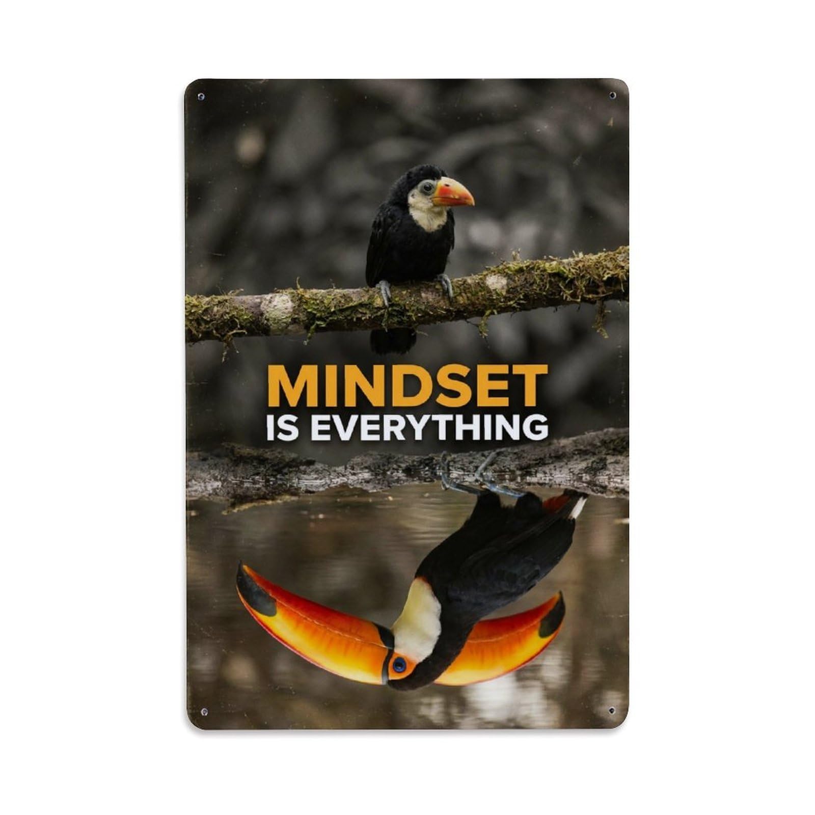 Metal Tin Sign Mindset Is Everything Toucan Animal Motivation Quote
