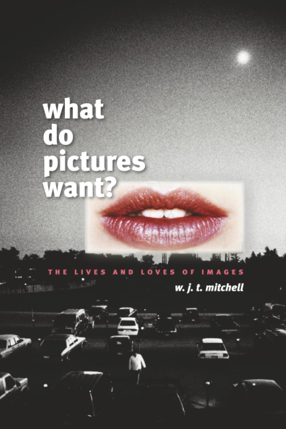 What Do Pictures Want?: The Lives and Loves of Images,W J T Mitc