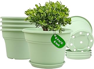 Pottiffe Plant-Pots-Planters-Indoor-Outdoor, 6 inch 6 Pack Green | Plastic Flower Pots with Drainage Holes & Saucers,Lightweight Decorative Garden Pots for Patios Porches