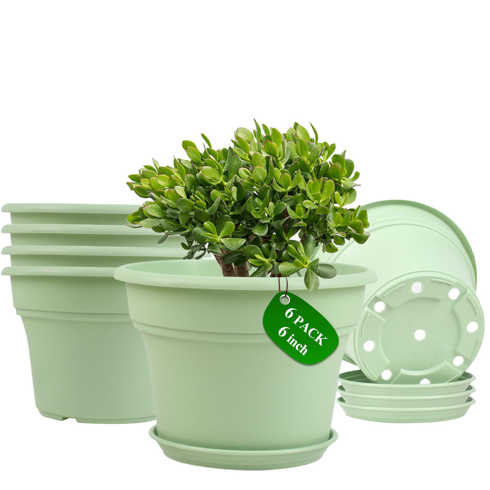 Pottiffe 6-Pack 6 Inch Plastic Plant Pots
