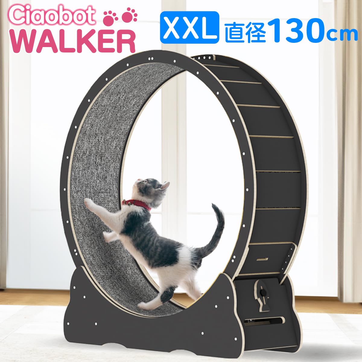 Amazon | Ciaobot キャットホイール 猫用 組み立て式 直径 90cm～130cm