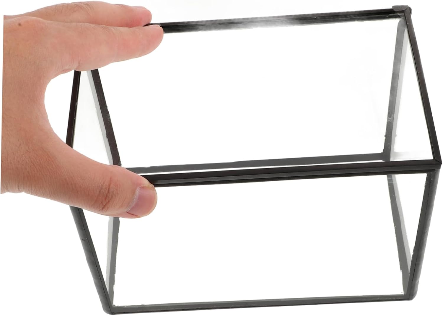 BESPORTBLE Landscape Glass Terrarium Holder Clear Planter Vase for Home Decor Office Cafe Multi-Functional Display Container for Plants and Flowers