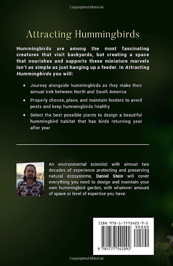 Attracting Hummingbirds: How to Design Backyard Environments Using Feeders and Flowers (Simple Sustainable Living) - Image 2