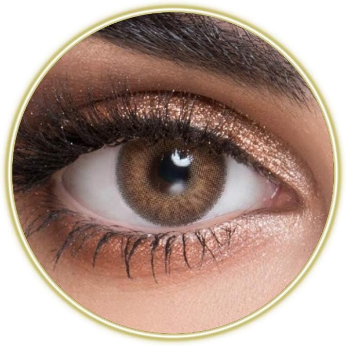 MyLens Oro Brown Contact Lenses, Original Unisex MyLens Cosmetic Contact Lenses, 6 Months Disposable, Oro Brown (Dark Brown Color)