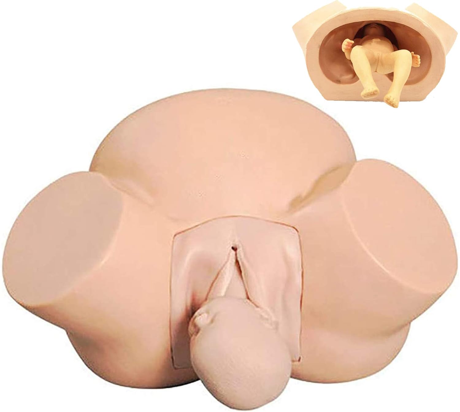 Formación De Matrona Modelo Parto Modelo De Enseñanza De Formación Avanzada Parto Wiht Bebé De Ginecología Enseñanza Médica Educación Estudio De Fertilidad Y