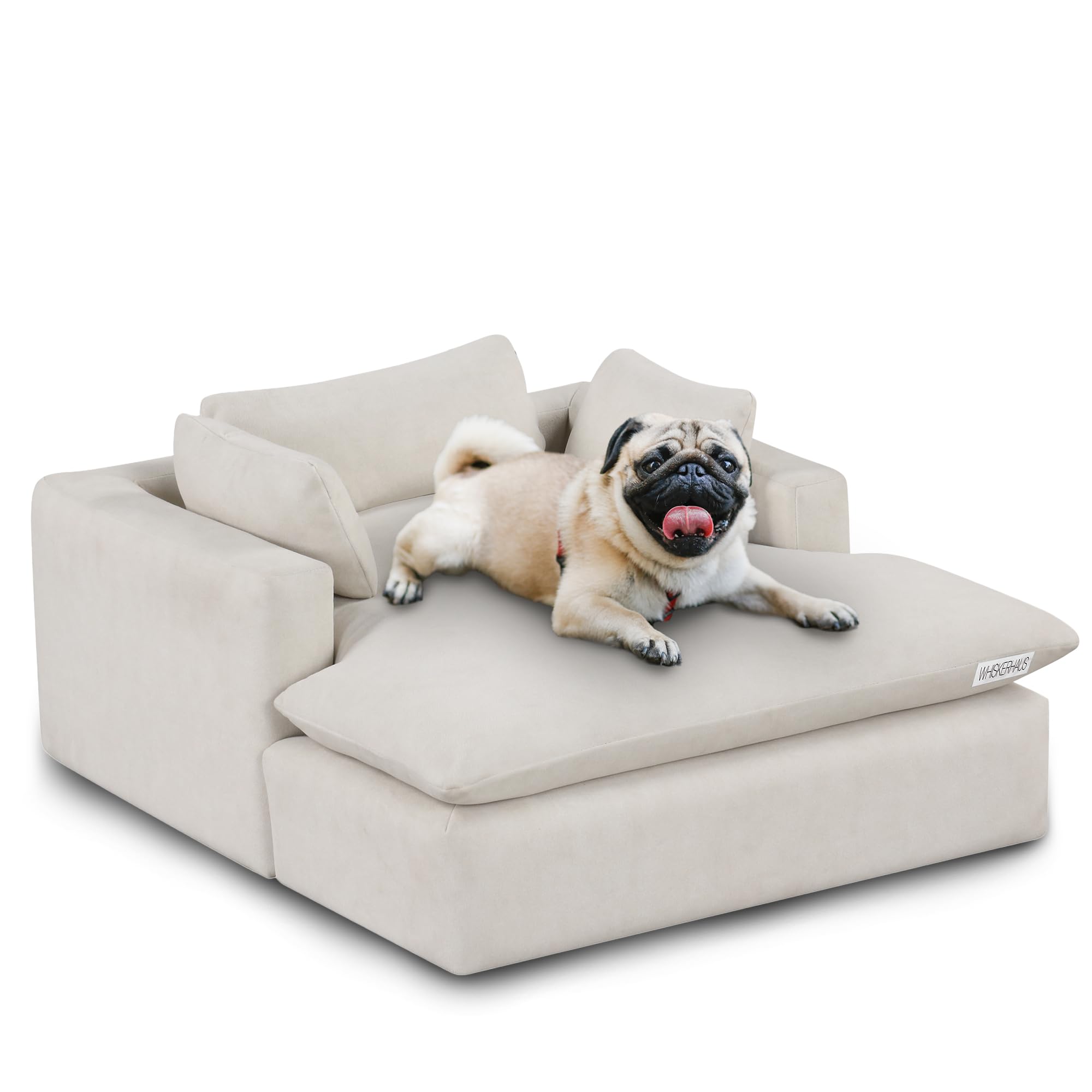 Whiskerhaus Modern Modular Dog Bed and Cat Bed, Comfortable Dog and Cat Sofa Bed, Washable and Scratch Resistant Fabric and Cloud Pillows, Designer Couch Design, 24.5