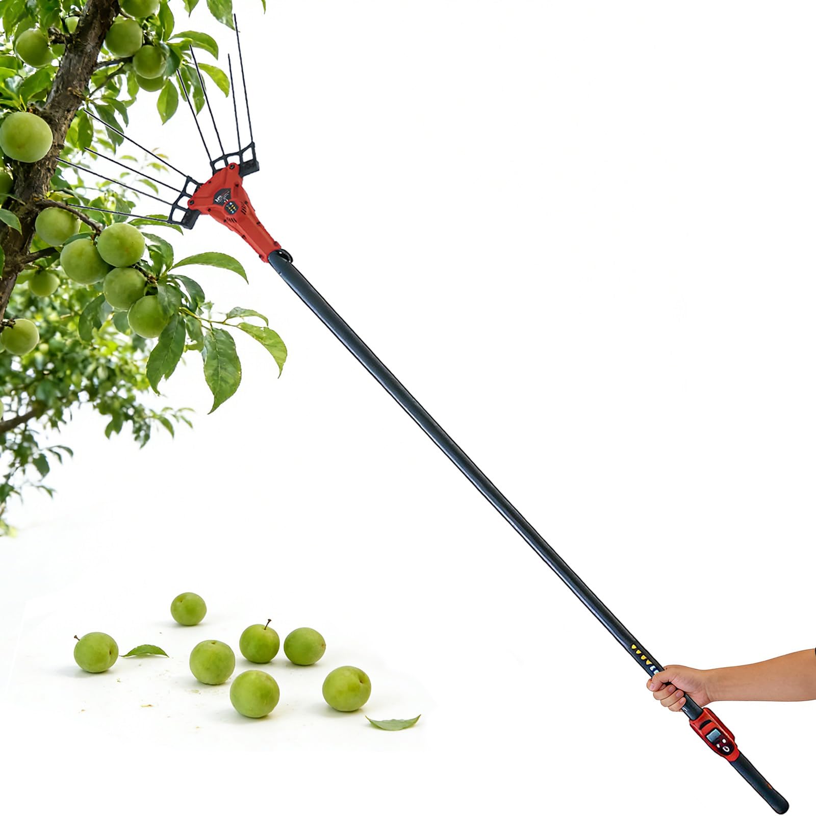 Récolteuse D'olives Électrique avec Perche Télescopique de 175-270cm, Outil Portatif de Cueillette de Fruits, Secoueur D'arbres sans Fil pour La Récolte de Jujubes, Noyer, Grains de Café
