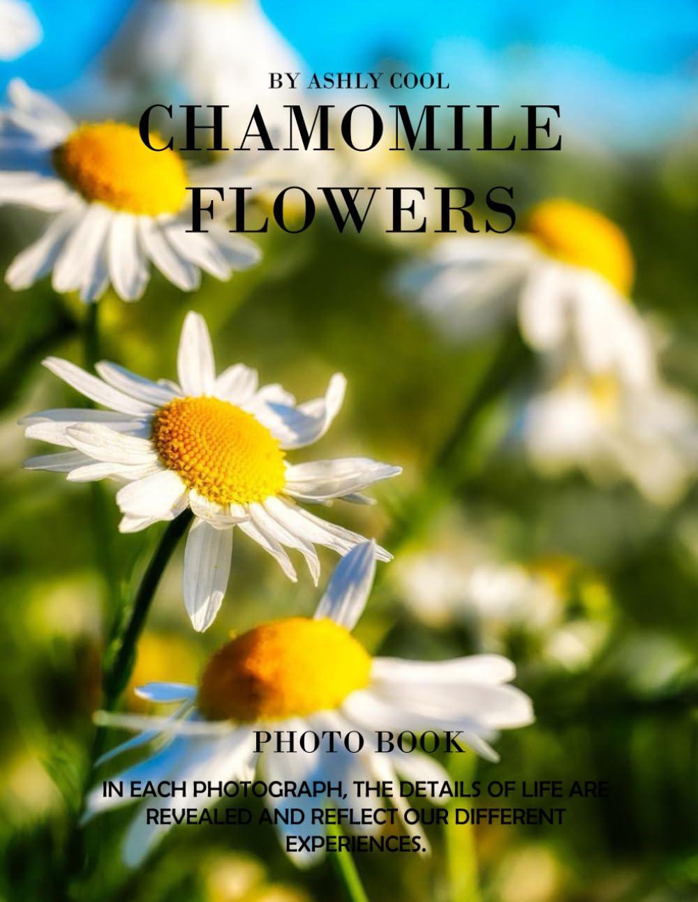 Chamomile Flowers: Exploring Chamomile Flowers: A Visual Journey Through Nature's Soothing Blooms