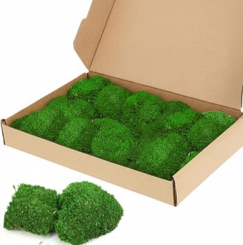 TCYPUHL 1 sq.ft Dark Green Pillow Moss Preserved Natural Cushion Bun with No Fade Color for DIY Wall Art Terrarium Home Decor, Holiday Christmas Decor