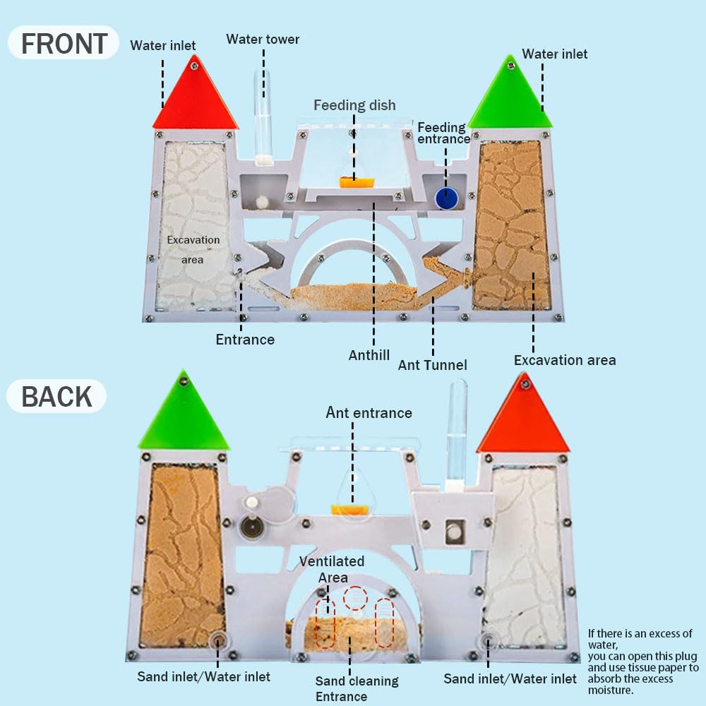 ELNMLHT Ant Farm Kit for Kids, Sand Ant Colony Terrarium Kit for Educational & Learning Science Toy for Boys, Girls & Adults (Red Green)