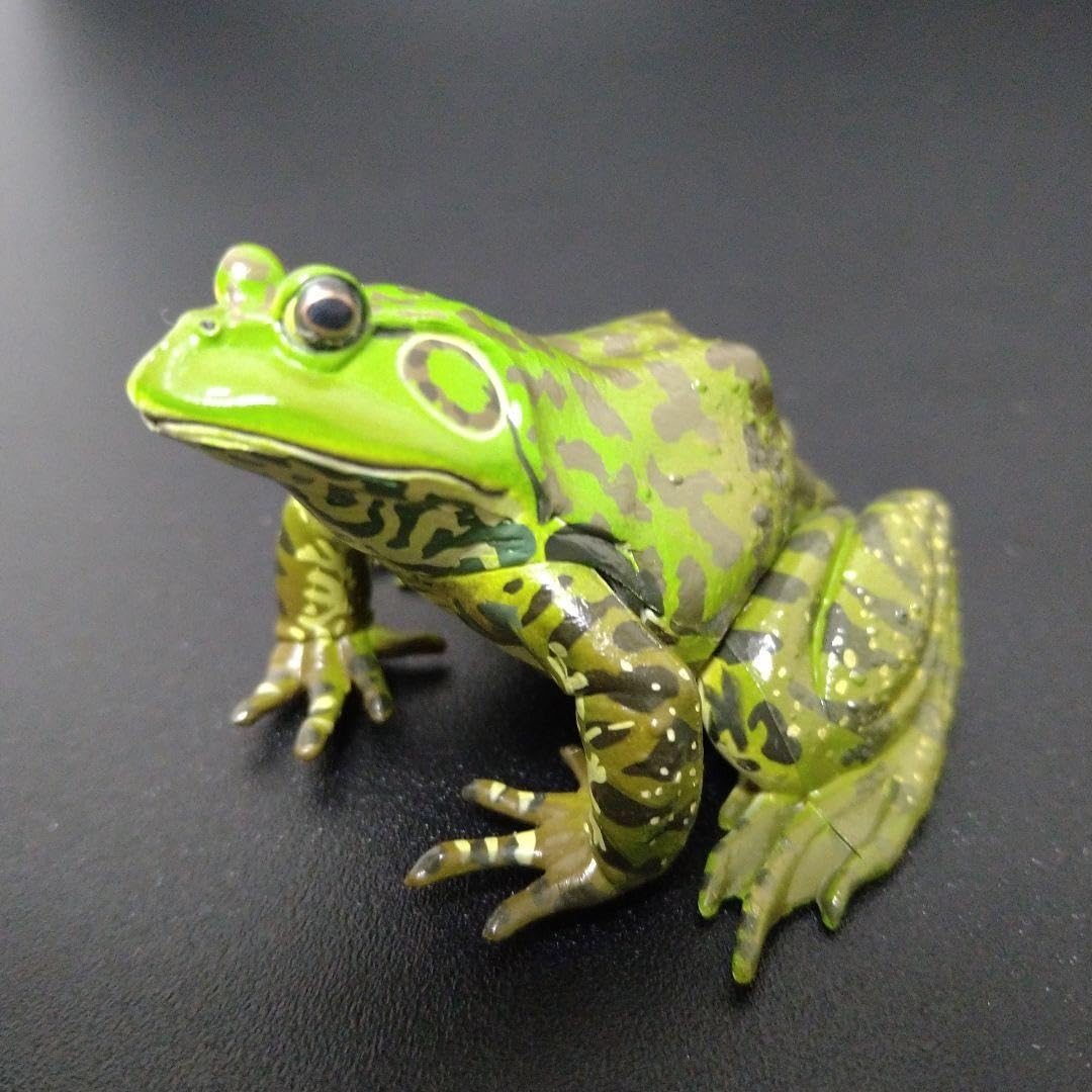 Amazon.co.jp: ユージン 原色両生類カエル図鑑（新改訂版