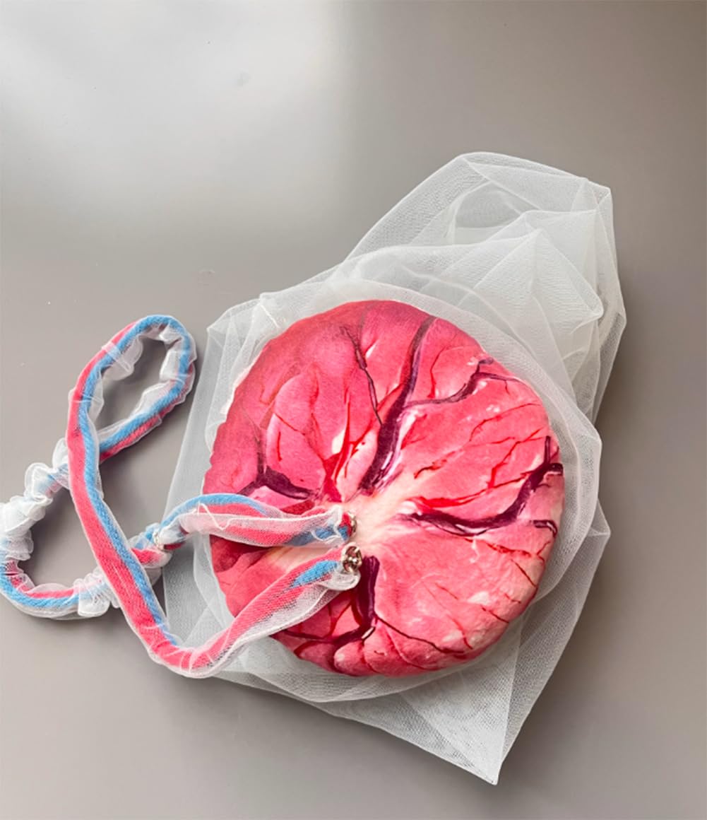 Weibliches Geburtshilfe- Becken Puppe Modell Hebammen Ausbildungs- Modell,Geburts- Modell,Hüftmodell Fetal mit Puppe/Nabelschnur/Amnion/Plazenta/Becken