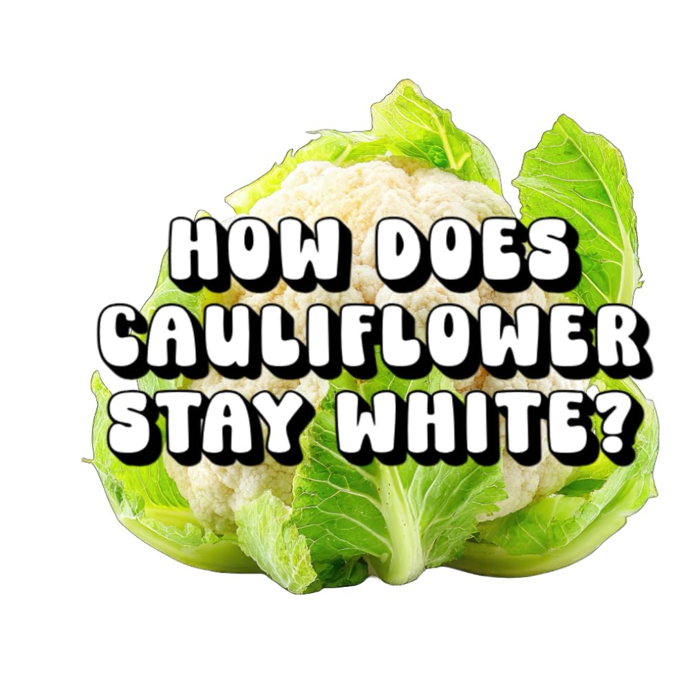How Does Cauliflower Stay White?