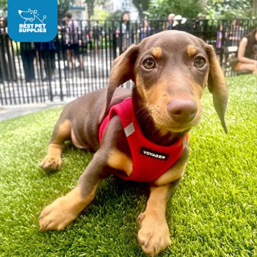 Voyager Step-In Air Dog Harness - All Weather Mesh Step In Vest Harness For Small And Medium Dogs By Best Pet Supplies - Harness (Red), Small #TOP4
