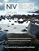 David C. Cook's NIV Bible Lesson Commentary 2015-16: The Essential Study Companion for Every Disciple (Niv International Bible Lesson Commentary)