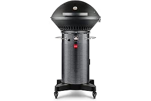 Fuego F24C Professional Propane Gas Grill
