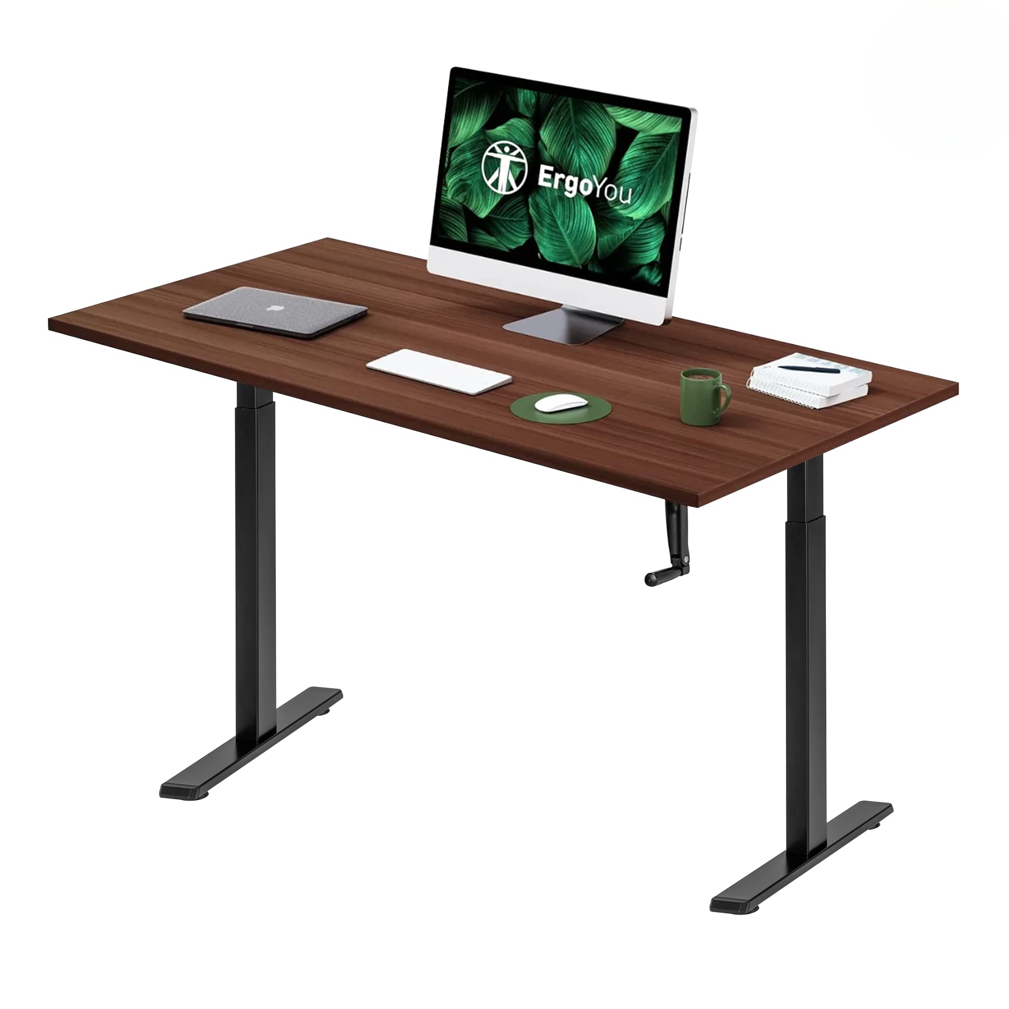 ErgoYou - Manual Height Adjustable Table 59 x 29.5 inches - 2 Stage with Smooth Hand Crank - Ergonomic Standing Computer Desk- 80 Kg Max Weight Capacity - M8 Series - Imported - Walnut Table Top