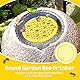 KAIYAYA 4 Stück Schwimmende Bieneninsel Bienentränke Tablett Bee Watering Station Bienenbecher Wasser für Bienengarten 20cm Floating bee Island Bienentränkestation for Gärten und Balkone