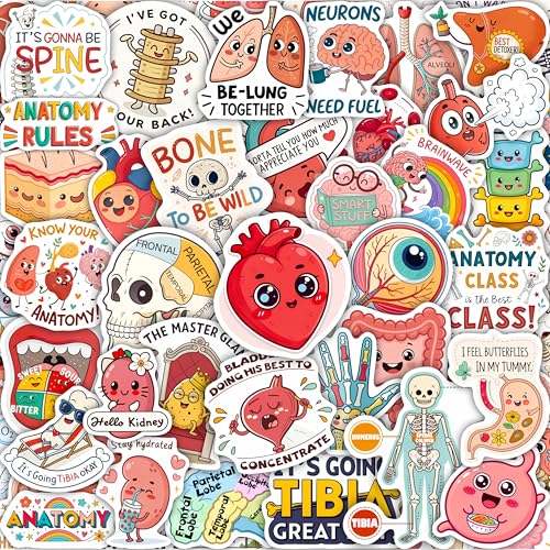 100Pcs Anatomy Stickers - Medical Doctor Physiology Stickers for Laptop, Water Bottle - Sonography Radiology Healthcare Nurse Bone Decals