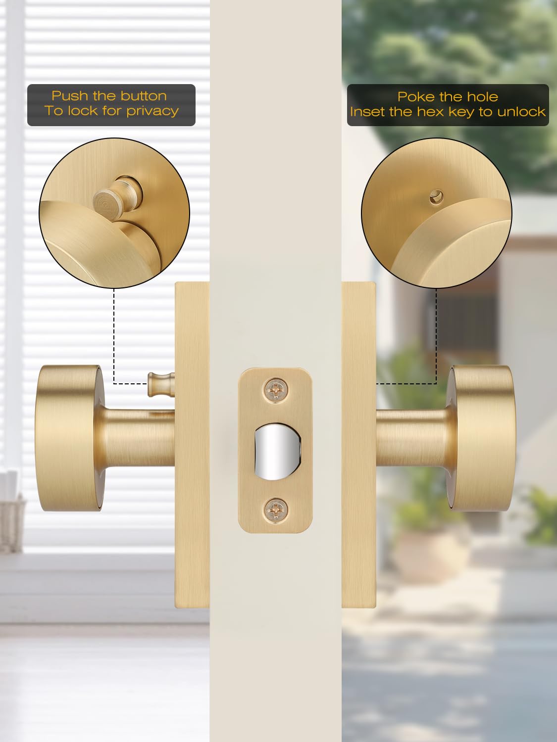 Satin Brass Privacy Door Knob - Keyless Entry -6 Satin Brass Privacy Door Knob - Keyless Entry -6