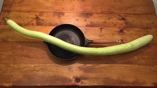 Miniatura 4 de Semillas Calabash Calabash Long Gourd Lagenaria Serpantine Heirloom Vegetal para plantar sin OMG