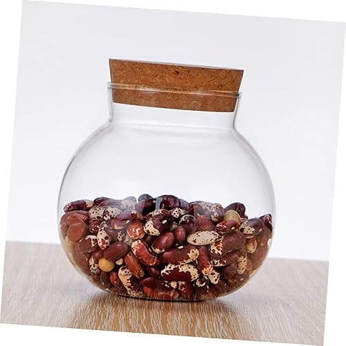 Miniatura 4 de TIDTALEO Tanque de almacenamiento de vidrio de corcho para almacenamiento de café, recipiente hermético para cereales, recipientes grandes de vidrio