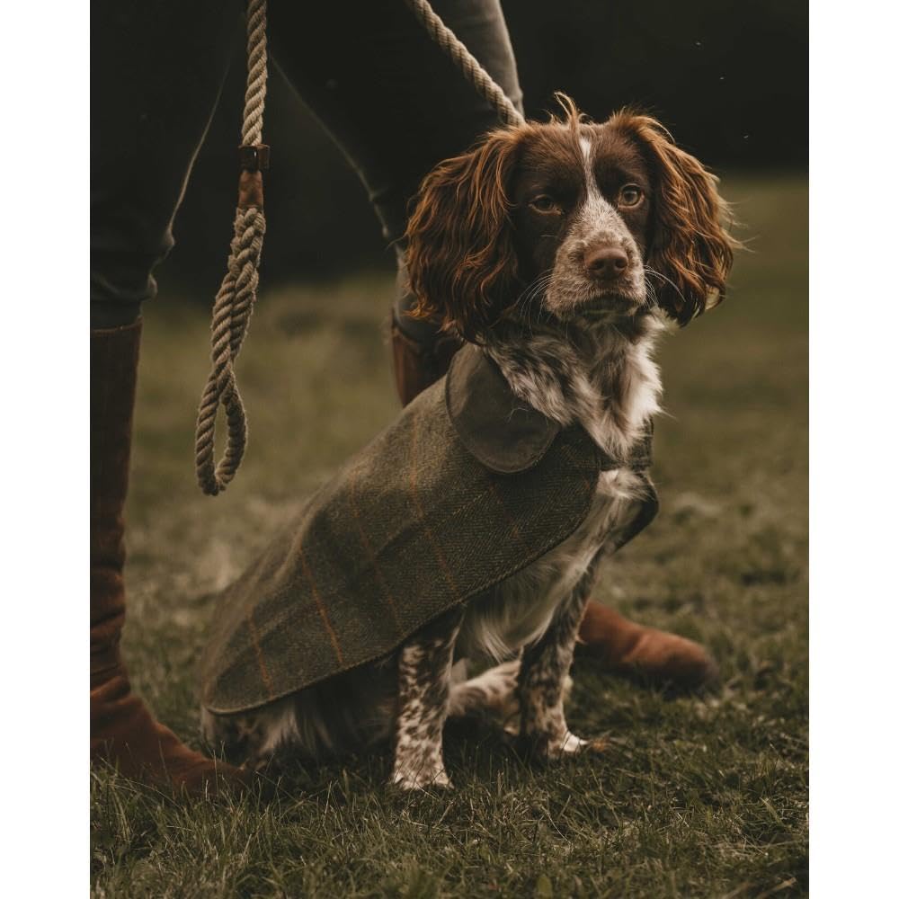 Walker and Hawkes - Derby Tweed Alfie Dog Coat - Beige Check - Medium