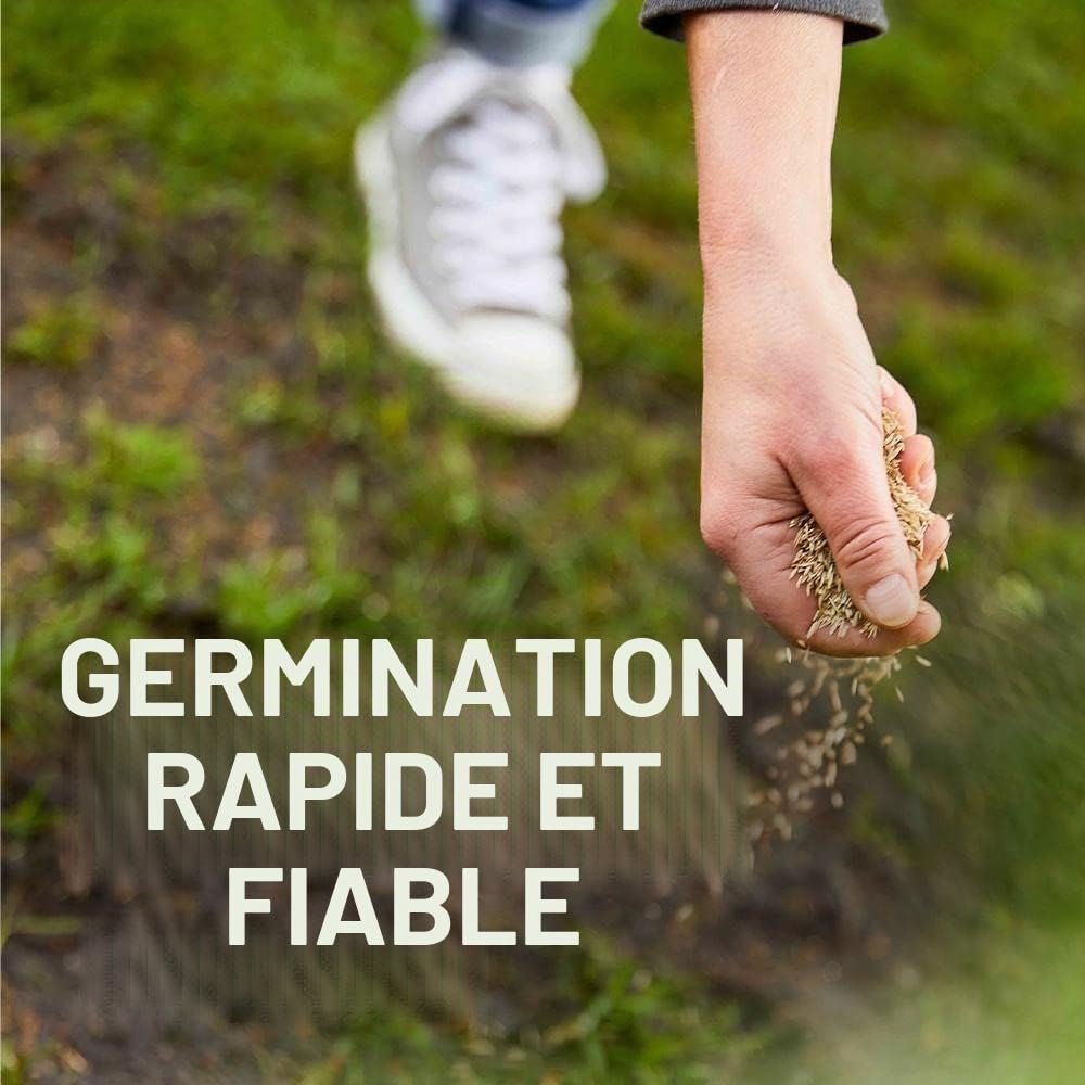 Compo Jeu et sport - Mélange universel de gazon - 5 kg - 250 m²