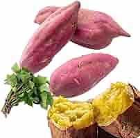 Amazon.co.jp: サツマイモ苗 紅あずま 切苗 / 2025年販売 (6月24