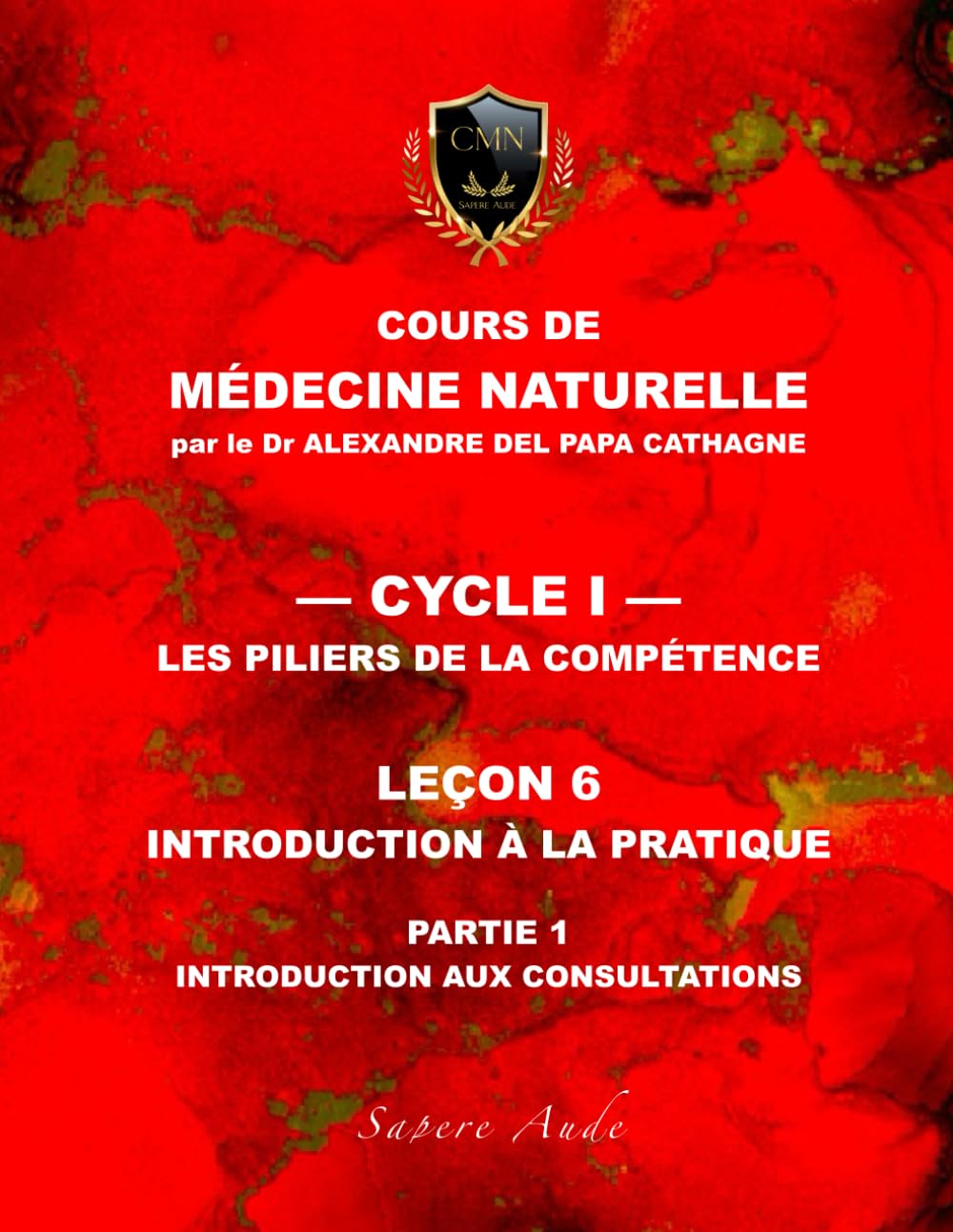 Cours de Médecine Naturelle - Leçon 6 : Introduction à la pratique — partie 1: Introduction aux consultations (Cours de Médecine Naturelle — Cycle 1 : Les piliers de la compétence)