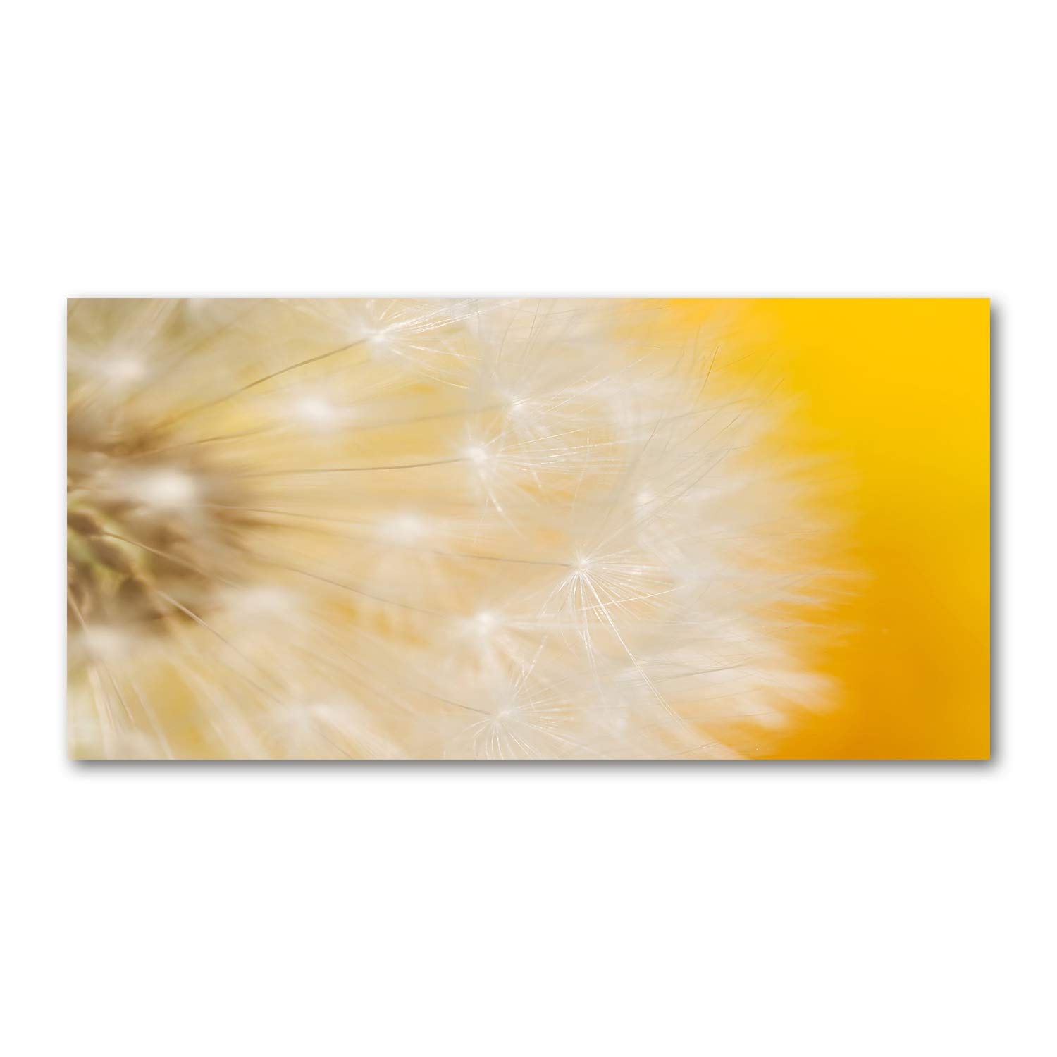 Tableau image verre plastique dante de leon Tulup 120x60cm pour salon