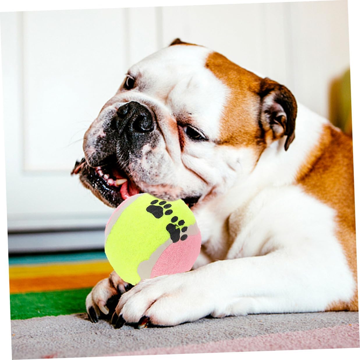 Mikikit 16pcs Dog Tennis Balls Plush Chew for Medium Dogs 7cm Diameter Sturdy Training Balls Interactive Pet Play for Puppy Exercise Random Color