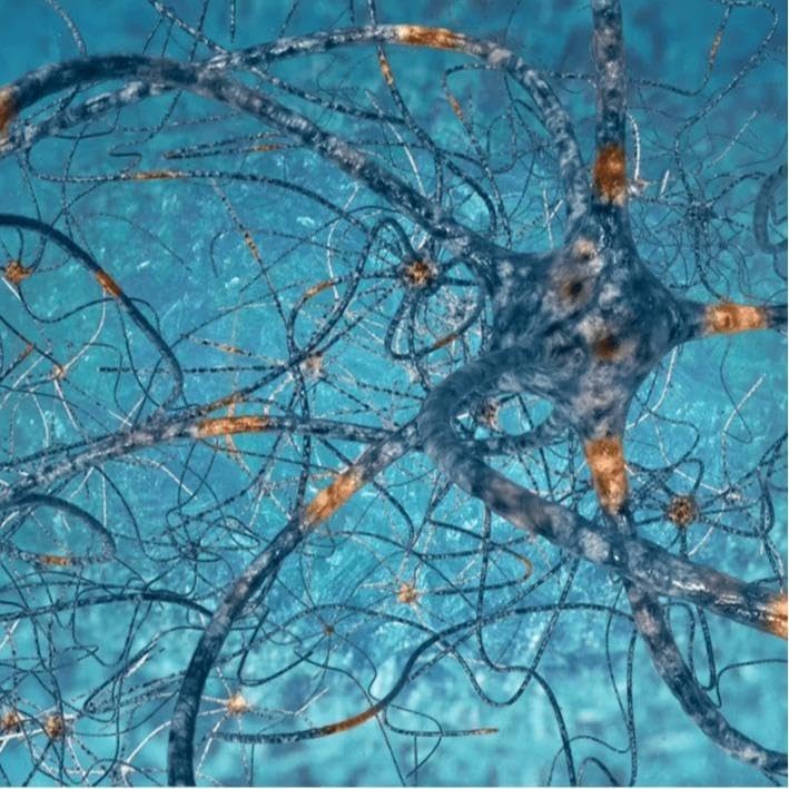 Med Residency Tutors Comlex Test prep Material