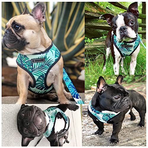 Image of HDKUW Dog Harness and Leash Set, Adjustable Dog Vest Harness Set, Outdoor Walking Vest Harness for French Bulldog and Puppy Small Medium Large Dog XL