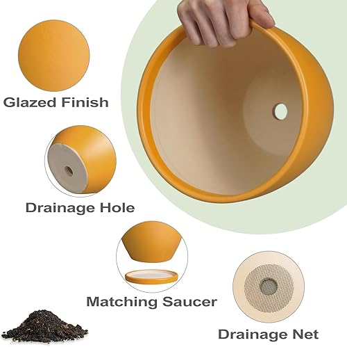 Miniatura 6 de Maceta de cerámica de 6.8 pulgadas con orificio de drenaje y platillo, maceta redonda moderna, macetas para plantas de interior, decoración del