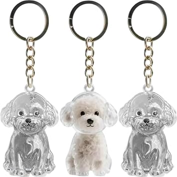 Dog Hair Keychain, Set of 3, Transparent Cremains Holder, Pet Memorial Case, Dog Hair Storage, Hair Loss Storage, Mobile Phone, Dog Memorial Goods, Cute