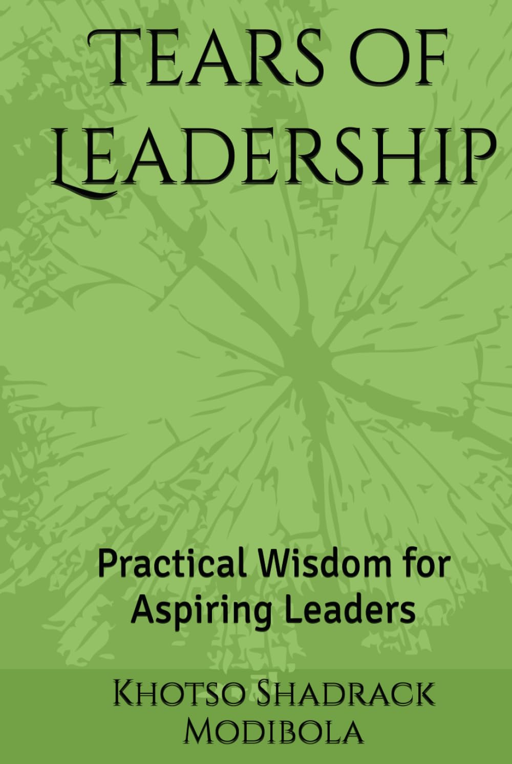Tears of Leadership: Practical Wisdom for Aspiring Leaders (The Fire Within Series)