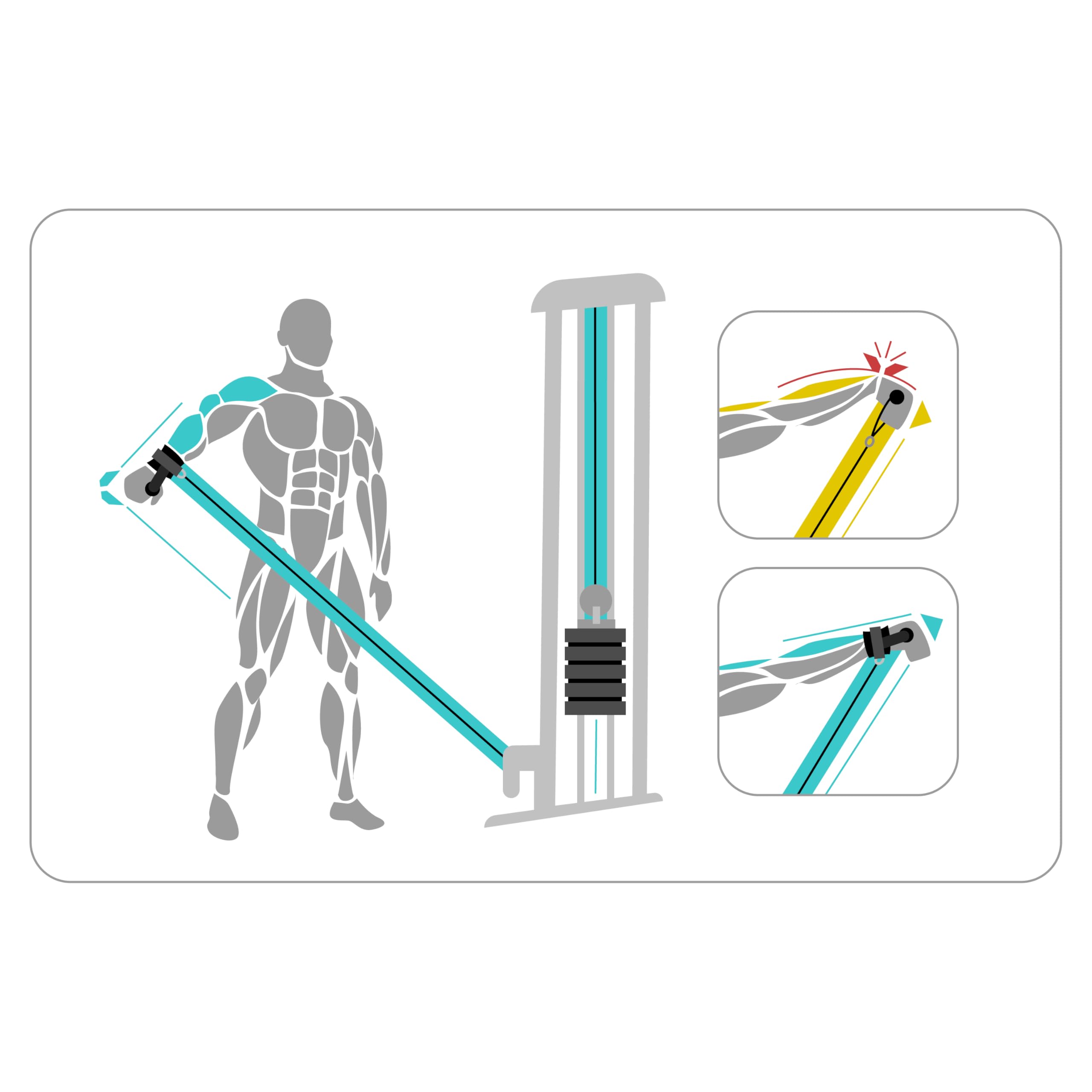 NEXON Precision Strap – Sangle de poignet avec poignée pour traction de câble | Levage latéral, biceps, triceps | réglable, rembourré, anneau en D