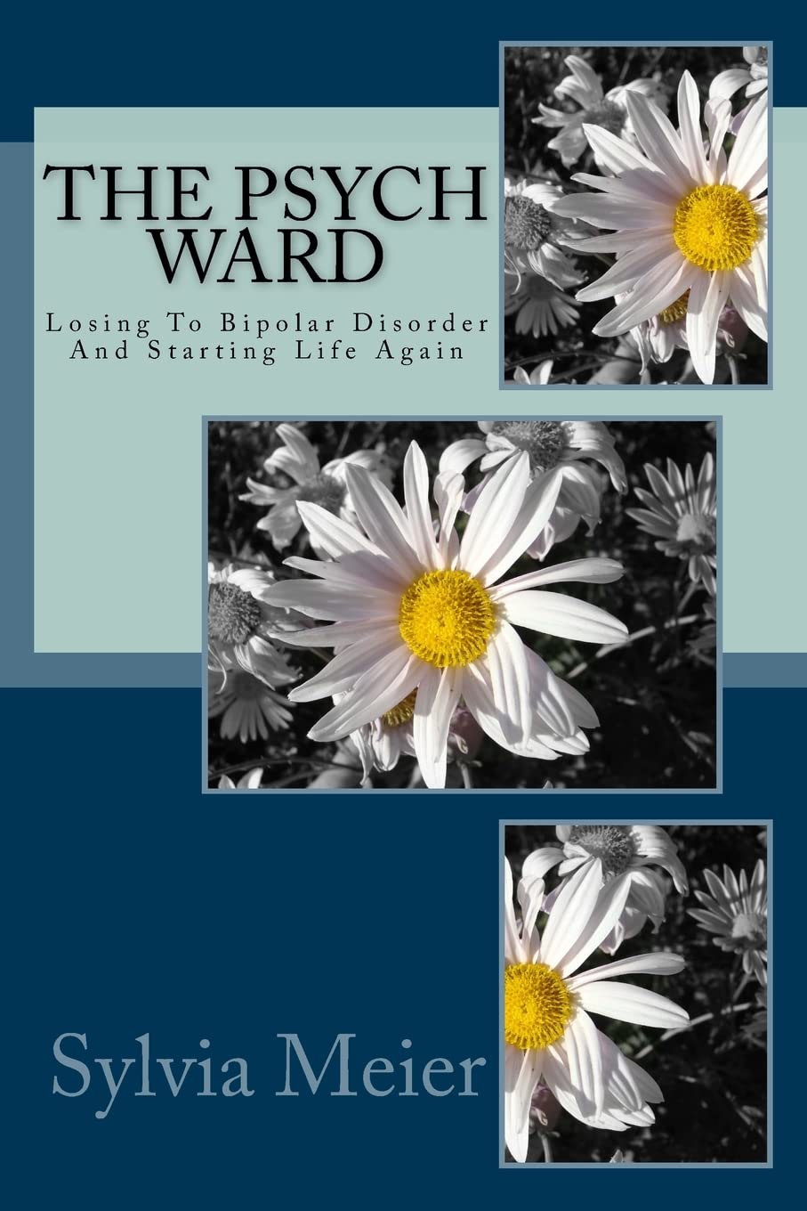 The Psych Ward: Losing To Bipolar Disorder And Starting Life Again (My Bipolar World)