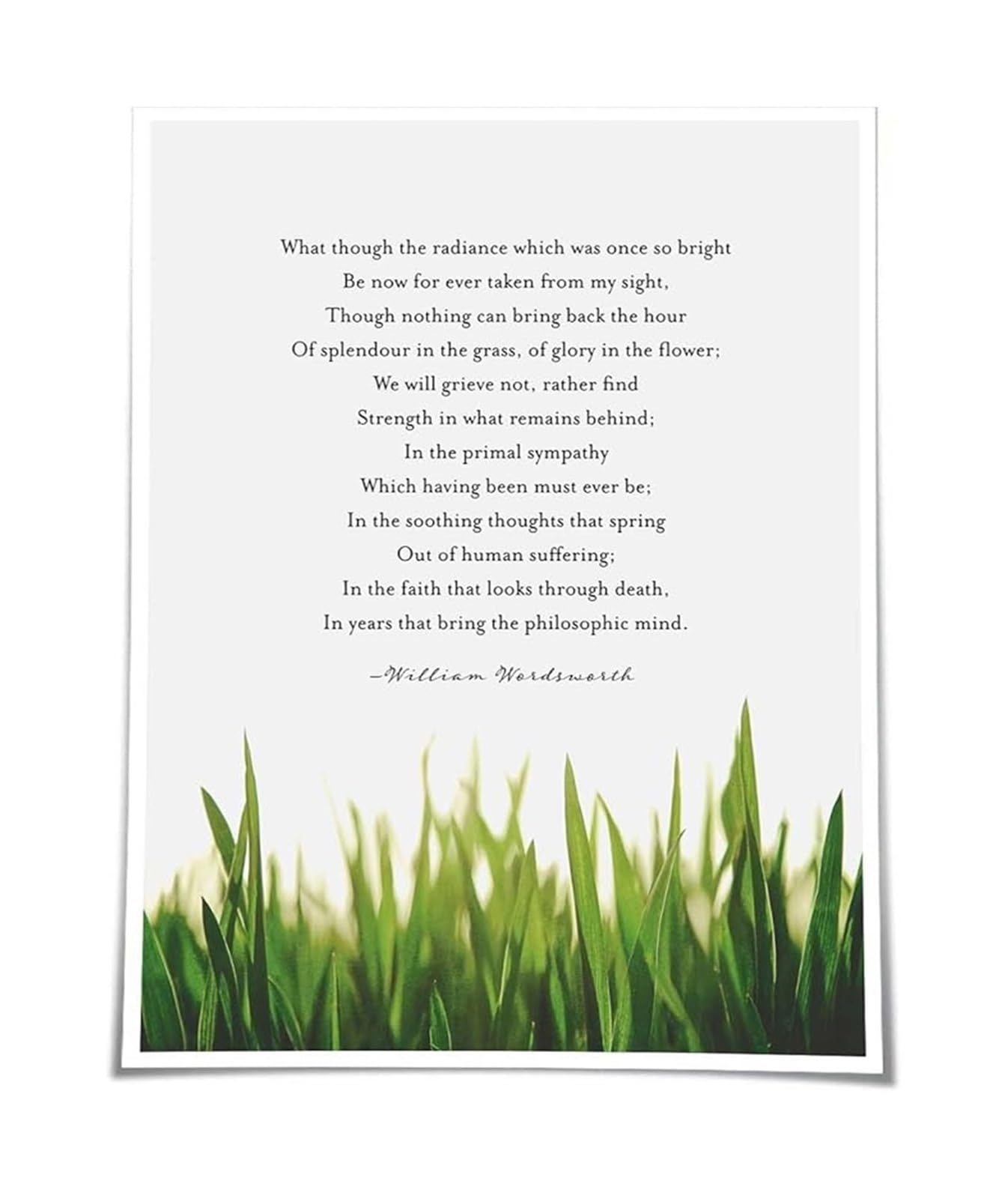 BYLSAGWHT Famous Poem Quote Canvas Print Literary Wall-Art Nature Themed Poster for Home Decor Study Library or Hallway(Unframed,08x12inch(20x30cm))