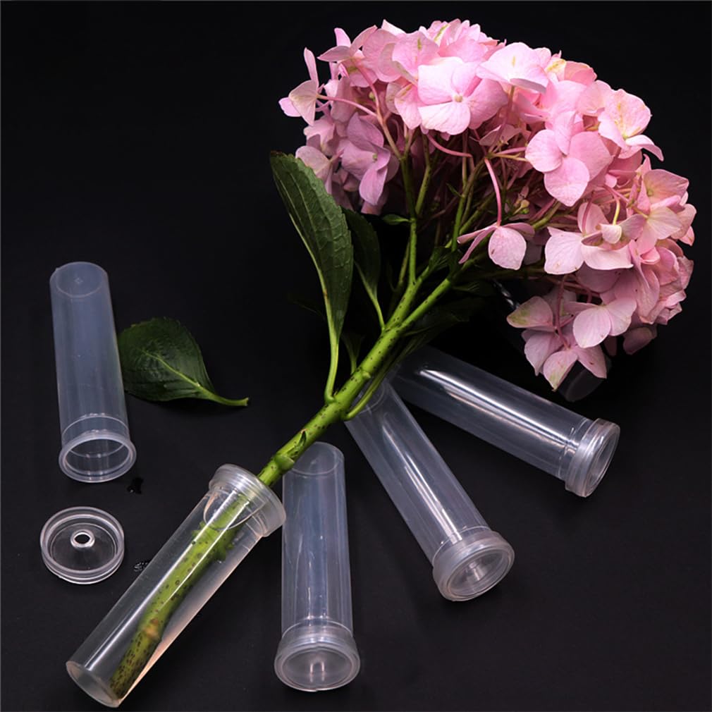 Tubes à Orchidée Vase Tube à Essai Tube De Nutrition Fleurs Fraîches Tube De Fleur Transparent
