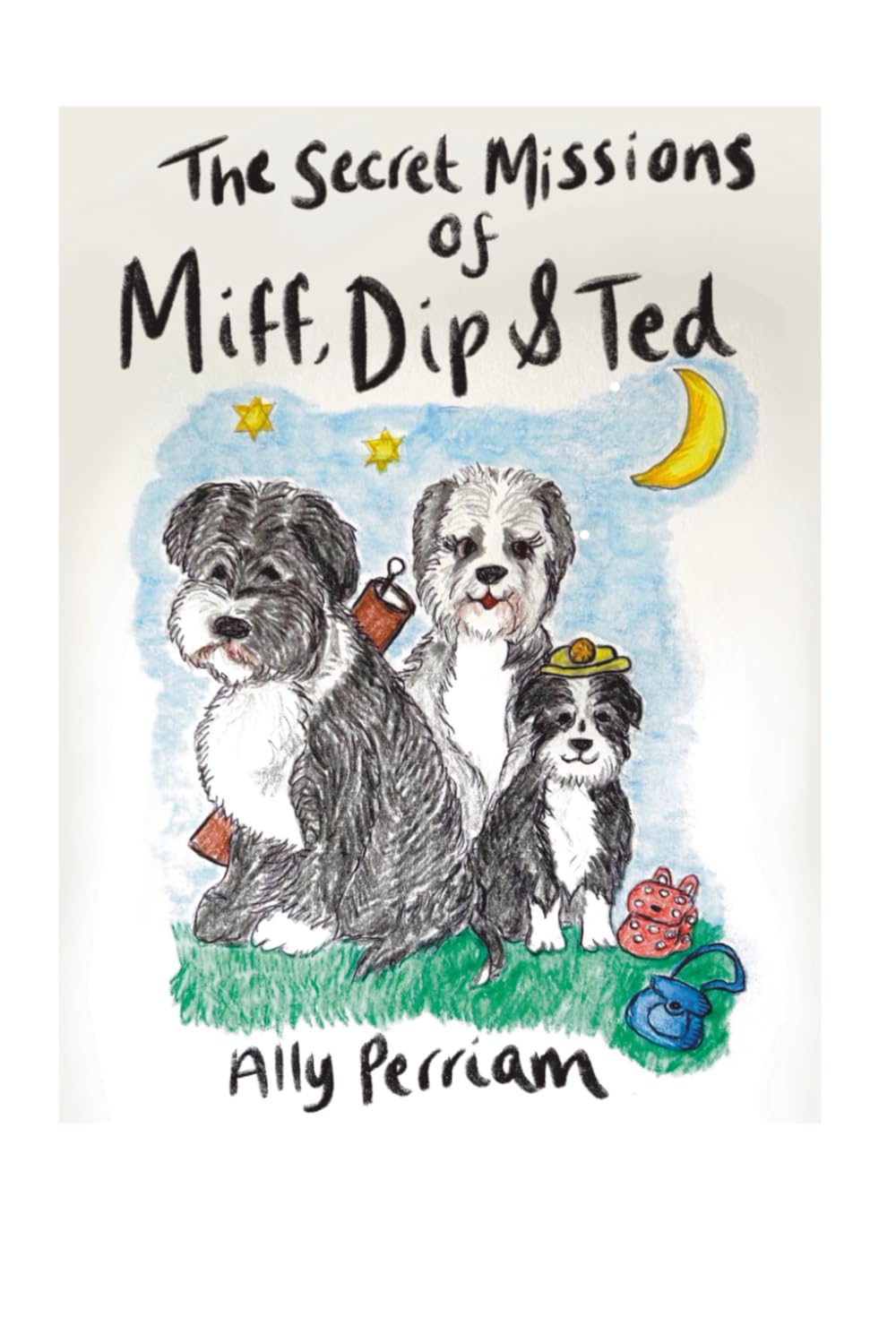 Secret Missions of Miff, Dip and Ted: missing bunting (The Secret Missions of Miff, Dip and Ted)